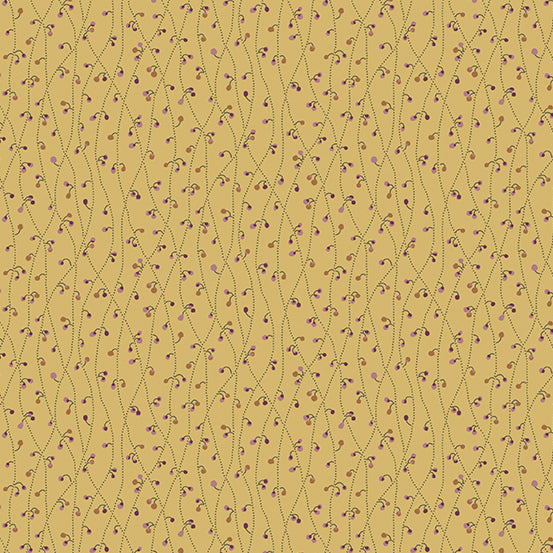 796 y - custard blue vetch