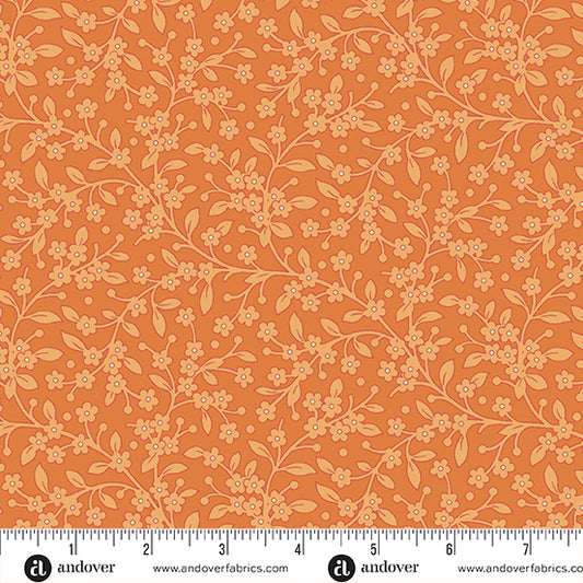 1017 o - tangerine jasmine